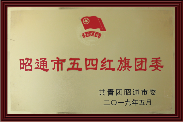 昭通市五四红旗团委