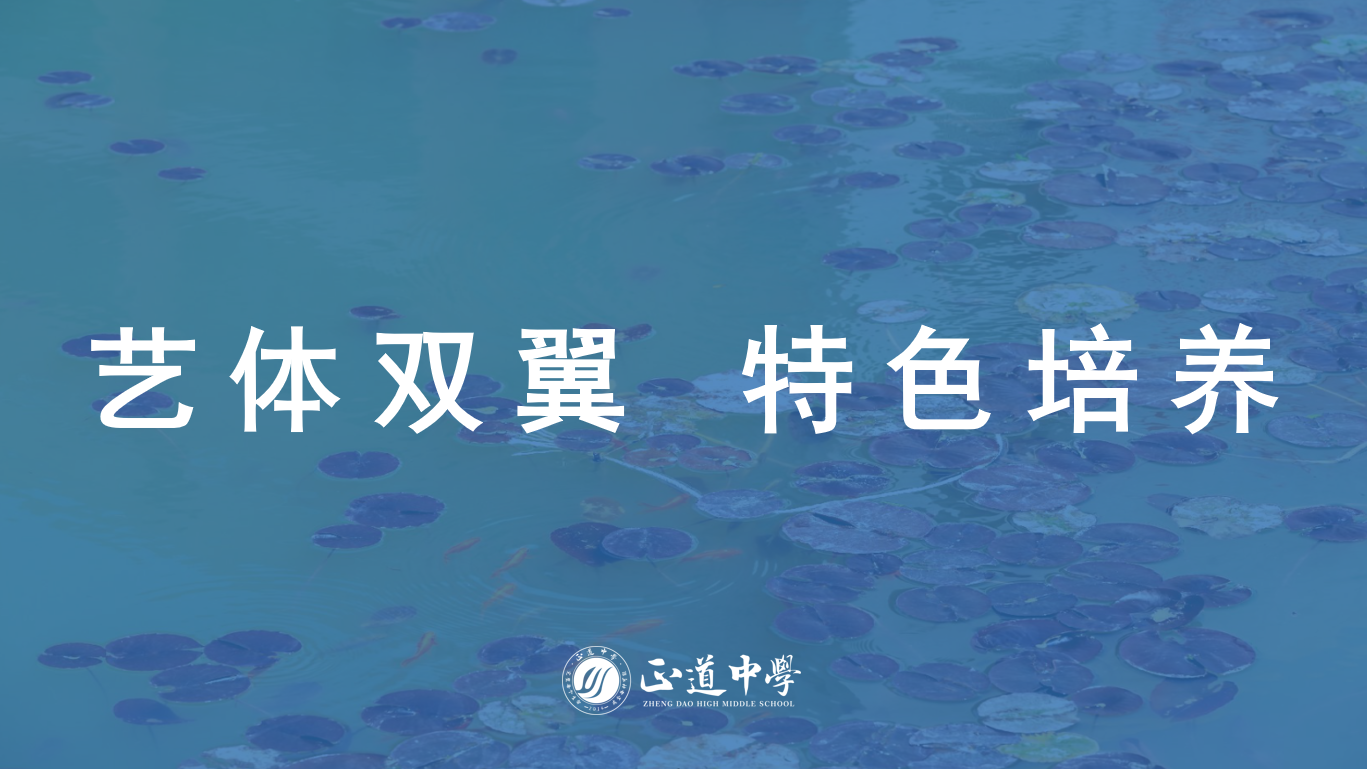 艺术、体育成绩