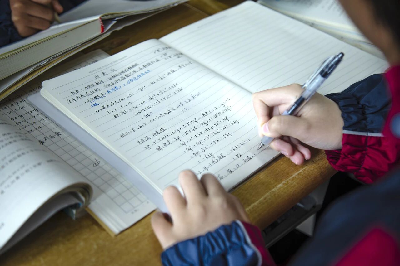 在温暖与陪伴中扎根 | 从正道新生成长看学校教育与孩子发展的统一