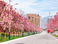 花园学校